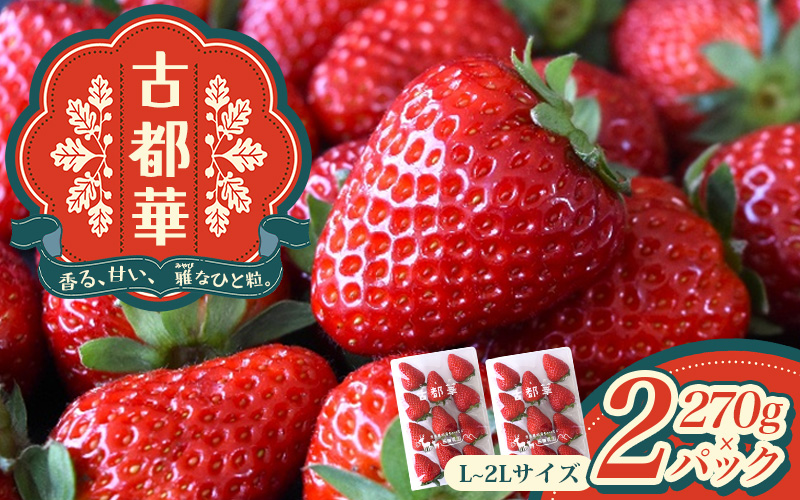 古都華 L～2Lサイズ 270g×2パック ／ 西田農園 ブランド いちご 苺 ことか フルーツ 果物 奈良県 葛城市【nsdf002】