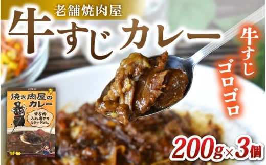 味園特選 牛すじカレー200g×3個 国産黒毛和牛 / 焼肉ホルモン味園 カレー 奈良県 葛城市【ajen002】
