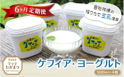 【6ヵ月定期便】ケフィア・ヨーグルト500ml×4個 ／ 葛城 高原 牧場 ケフィア ヨーグルト【latt-tkb013】