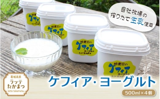 ケフィア・ヨーグルト500ml×4個 ／ 葛城 高原 牧場 ケフィア ヨーグルト【latt011】
