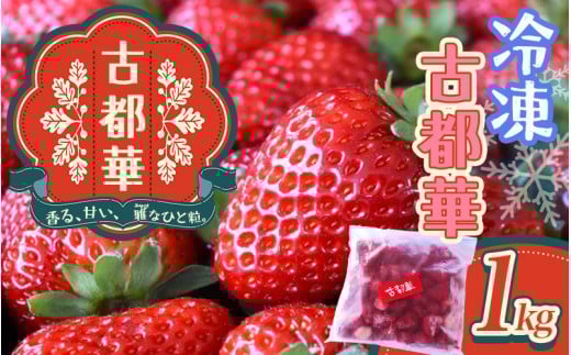古都華　冷凍いちご　1kg ／ 西田農園 ブランド いちご 苺 ことか フルーツ 果物 奈良県 葛城市【nsdf005】