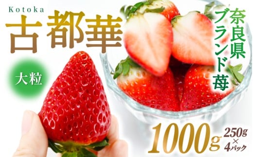 ブランド苺 新鮮 古都華 (大粒) 約1000g [250g×4パック] 【2026年1月上旬～5月下旬に順次発送】／ スマイル葛城農業 ブランド いちご 苺 ことか イチゴ スイーツ フルーツ 甘い 果物 奈良県 葛城市【smlk002】
