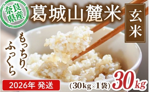 先行予約 葛城山麓米 ヒノヒカリ（玄米）計30kg [ 30kg×1袋 ] 令和8年産 【2026年10月下旬～順次発送】／ スマイル葛城農業 若手農家 玄米 栄養 新規就農 ごはん お米 米 おいしい ふっくら 農家直送 奈良県 葛城市【smlk027】