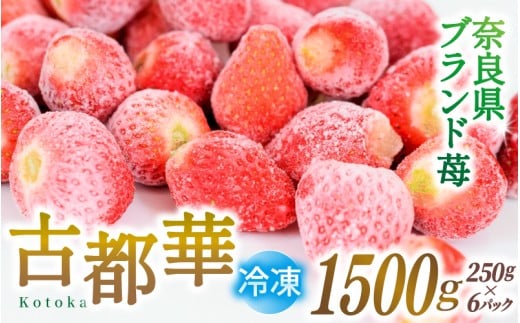 ブランド苺 冷凍 古都華 約1.5kg [250g×6パック] 【2026年5月上旬～6月下旬に順次発送】／ 若手農家 地域応援 古都華 いちご 冷凍いちご イチゴ 苺 奈良 奈良県産いちご 葛城市 産直 高級 甘い 濃厚 あかい フルーツ 限定 果物 旬 スイーツ ギフト ふるさと納税 人気 ランキング 1位【smlk031】