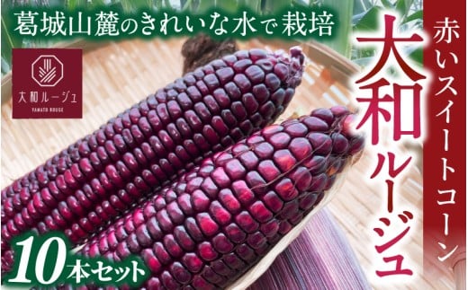先行予約 奈良県産 大和ルージュ 計10本 令和8年産 【2026年7月中旬～10月中旬順次発送】／ スマイル葛城農業 大和ルージュ 奈良 葛城市 とうもろこし トウモロコシ コーン スイート 美味い あかい 甘い 野菜 産直 新鮮 旬 茹で スープ サラダ グリル 名産 健康 美容 栄養 ふるさと納税 人気 家族 ギフト 奈良県 葛城市【smlk037】