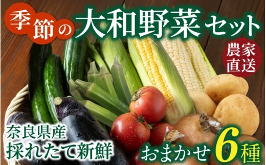 奈良県産 季節の大和野菜 おまかせ６種セット 【入金確認後２週間以内に発送】／ スマイル葛城農業 奈良 葛城市 野菜野菜 産直 新鮮 旬 茹で スープ サラダ グリル 名産 健康 美容 栄養 ふるさと納税 人気 家族 ギフト 奈良県 葛城市【smlk041】