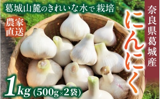 奈良県葛城産 にんにく 約1kg(500g×2袋)  【2026年5月上旬～7月下旬順次発送】／ スマイル葛城農業 大和野菜  にんにく 農家直送 産直 新鮮 旬 名産 健康 美容 栄養 奈良県 葛城市【smlk064】