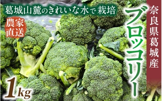 奈良県葛城産 ブロッコリー 約1kg 【2025年11月上旬～5月下旬順次発送】／ スマイル葛城農業 大和野菜  ブロッコリー 農家直送 産直 新鮮 旬 名産 健康 美容 栄養 奈良県 葛城市【smlk067】