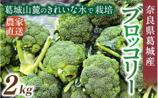奈良県葛城産 ブロッコリー 約2kg 【2025年11月上旬～5月下旬順次発送】／ スマイル葛城農業 大和野菜  ブロッコリー 農家直送 産直 新鮮 旬 名産 健康 美容 栄養 奈良県 葛城市【smlk068】