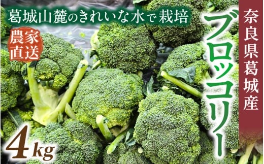 奈良県葛城産 ブロッコリー 約4kg 【2025年11月上旬～5月下旬順次発送】／ スマイル葛城農業 大和野菜  ブロッコリー 農家直送 産直 新鮮 旬 名産 健康 美容 栄養 奈良県 葛城市【smlk069】