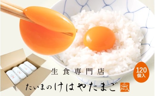 たいまのけはやたまご　120個入り　／たまご　生卵　奈良県　葛城市【tegg005】
