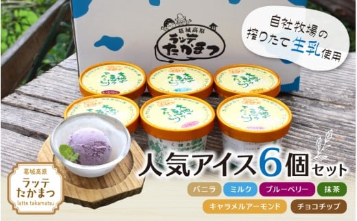 (冷凍) ラッテたかまつ 人気アイス 6個セット /葛城 高原 牧場 ラッテのアイス[latt024]