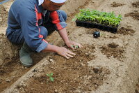 坂本農園 おいしい唐辛子 味くらべ 粉末 柚子 胡椒 ４点セ