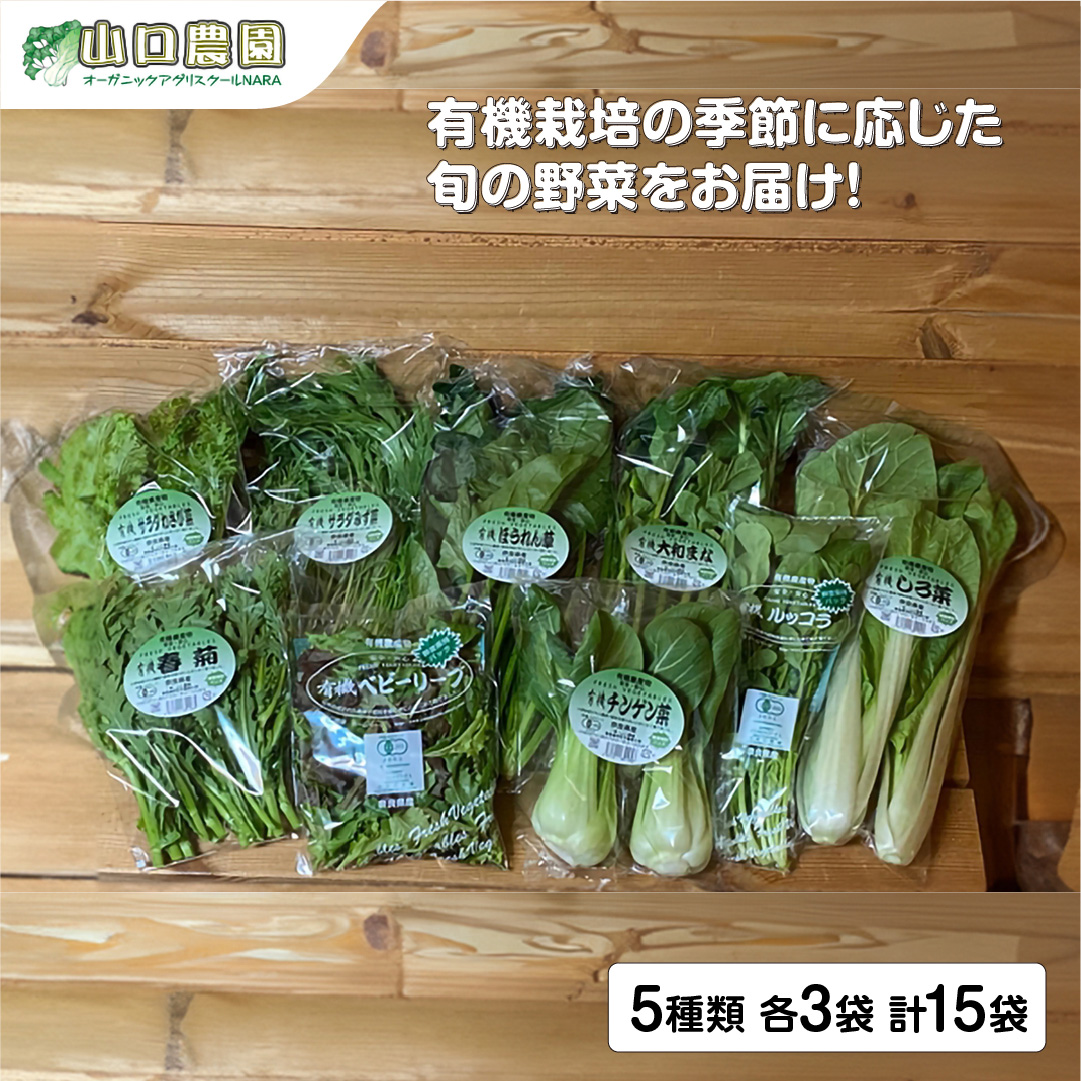 （チルド）山口農園 有機野菜 おまかせセット ／ふるさと