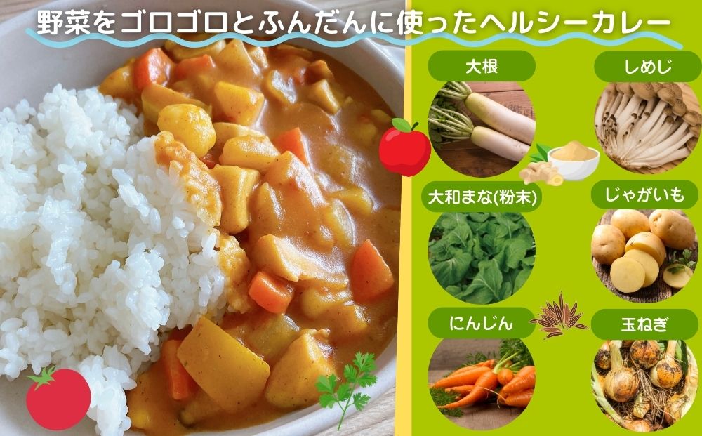 農家のたっぷり野菜カレー ３０個／山口農園 有機野菜 オ