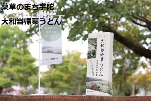 薬草のまち宇陀 大和当帰葉うどん 10個／薬草 大和当帰葉 