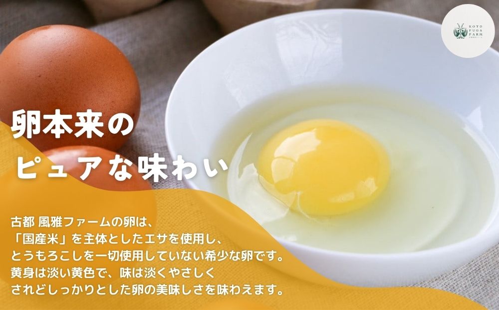 【毎月定期便／6ヶ月】平飼い飛鳥の卵 40個／ 卵 たまご 玉