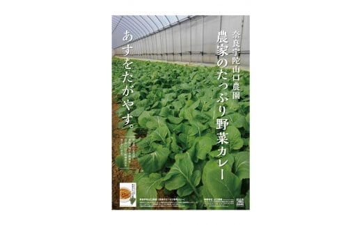 定期便 3ヶ月 農家のたっぷり野菜カレー20個 月1回 ／ ふる