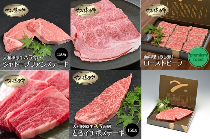 食べ尽くし 定期便 12ヶ月 大和 榛原牛 冷凍 月1 計 12回 ／ 