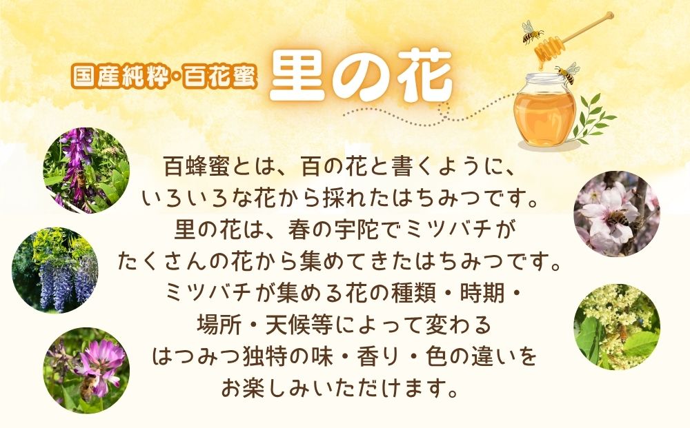 国産 純粋 はちみつ 里の花 125g (1本)／ 蜂蜜 ハチミツ 非加