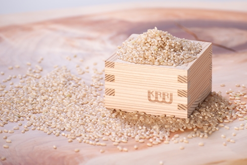 玄米麺 大和当帰 1袋 ／ 樞 クルル 栽培期間中 農薬不使用 