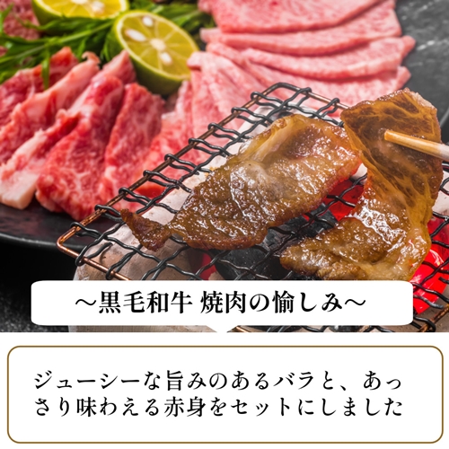 （冷凍） 大和牛 バラ 赤身 盛り合わせ 焼肉 1000g ／金井畜