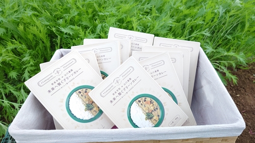 未来へ繋ぐグリーンカレー ３０個 ／ 山口農園 有機野菜 オ