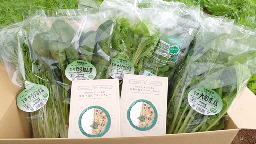 （冷蔵） 山口農園の有機野菜 おまかせセット＋未来へ繋ぐ