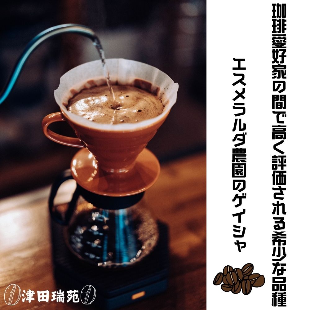 エスメラルダ農園ゲイシャ・プライベートコレクションナ