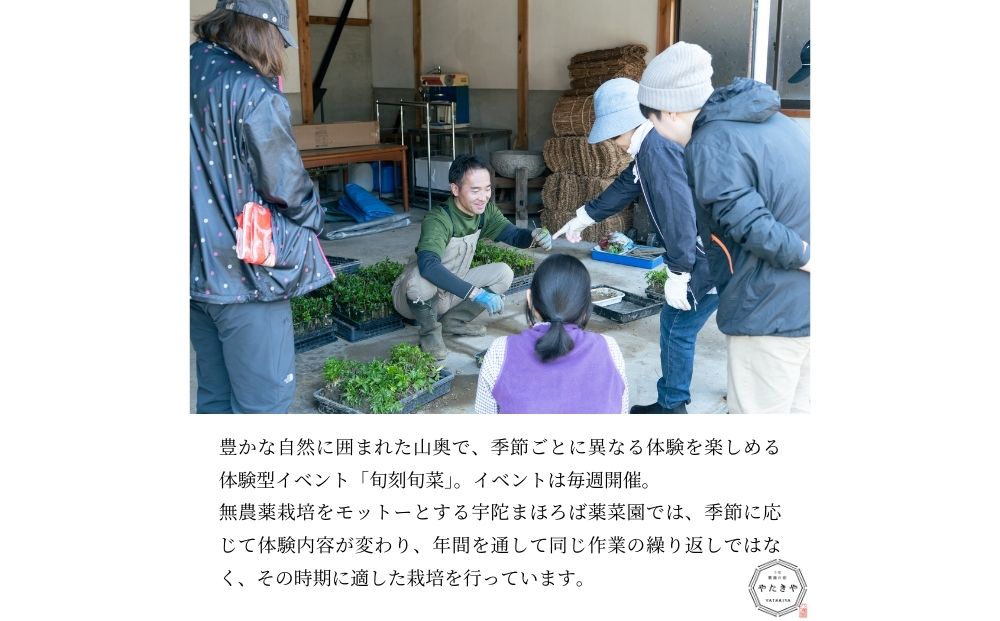 『旬刻旬菜』参加チケット（1名様）家庭菜園のお悩みをプ