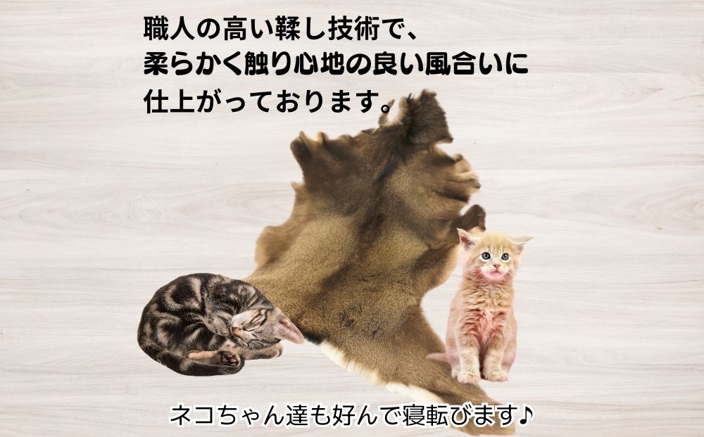 鹿毛皮（ニホンジカ）／ 奈良産業株式会社 ラグ 厚手 猫 冬