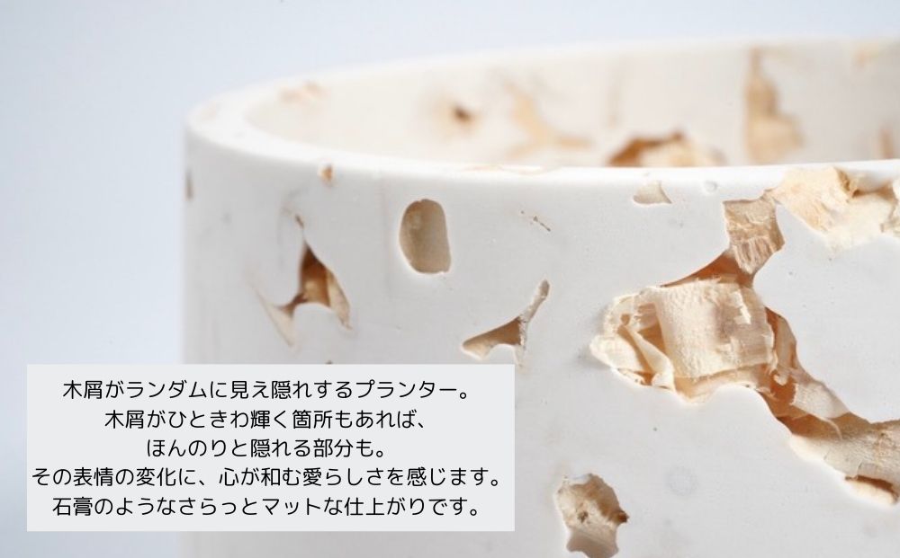 クランチポット3.5号 / おしゃれ 木製 プランター 植木鉢 イ