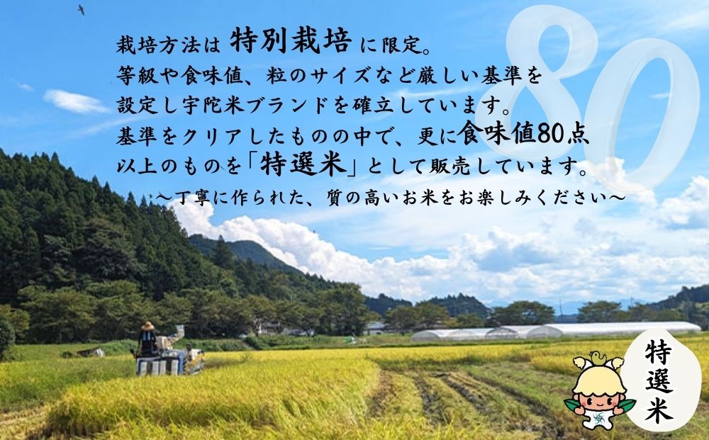 特別栽培 宇陀米ひとめぼれ 5kg【特選米】令和6年産／白米 