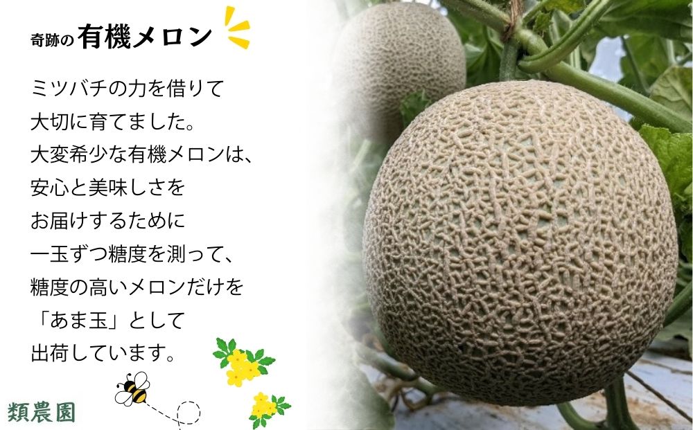 ＼予約販売／【7月下旬〜8月上旬出荷】有機メロン「甘玉」