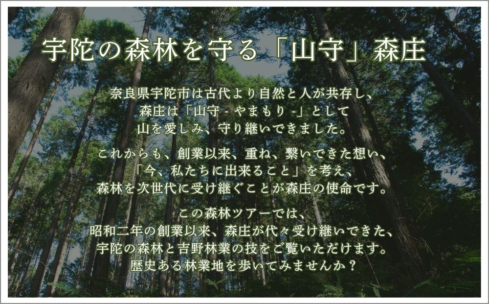 100年生の 森林ツアー ＆ 伝統木工体験 inうだ プレミアム／ 
