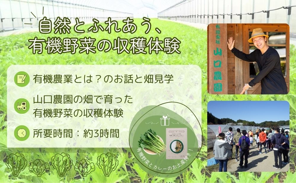 有機農業 収穫体験 ツアー お土産付 5名様迄／ 農家 有機野