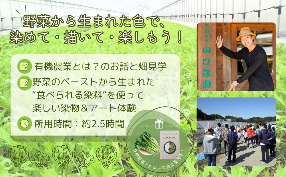 有機農業 染物 アート 体験 お土産付 5名様迄／ 畑見学 食べ