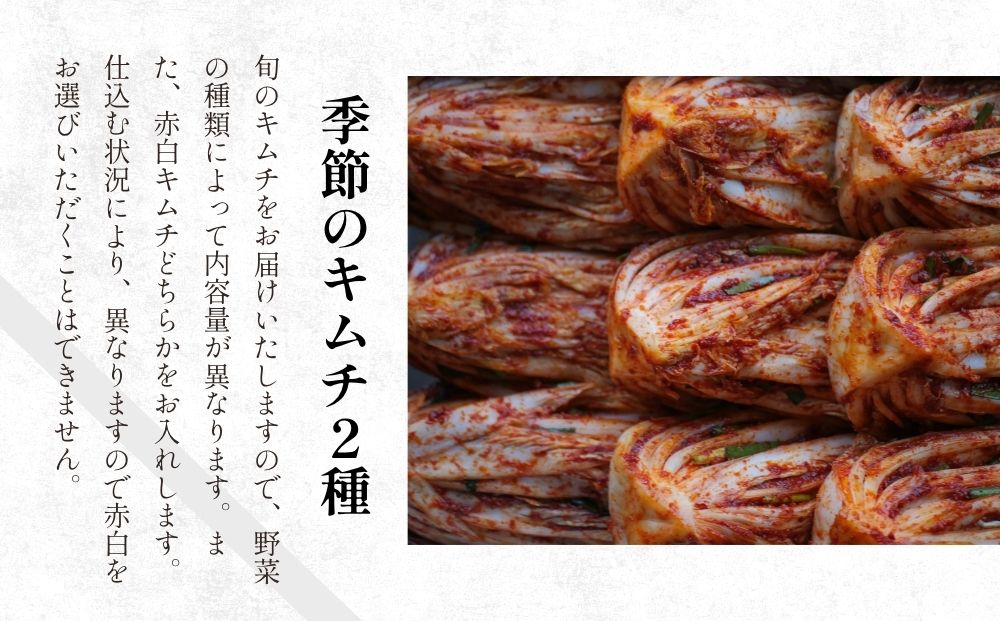 季節野菜のキムチ500g×2種類／ ふるさと納税 キムチ ふるさ