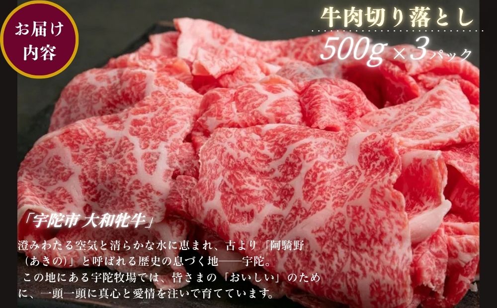 ＜冷凍＞大和牝牛 切り落とし肉 500g×3 （合計1.5kg）／太田