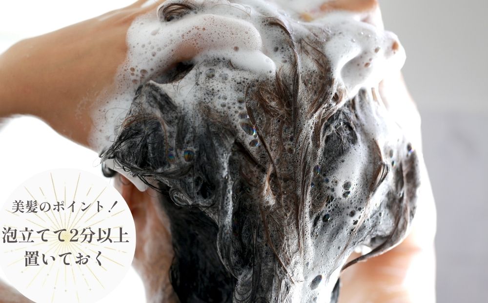 【定期便12回】大和当帰美人 髪だより EXTEシャンプー 詰め