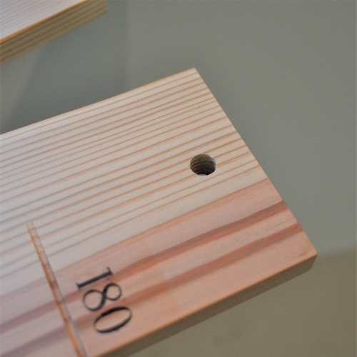 SUKUSUKU MEMORY 森の身長計＜杉＞ 木のインテリア/ MORITO 森庄銘