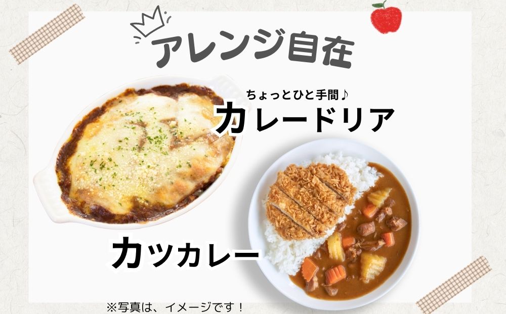 農家のたっぷり野菜カレー 10個／ふるさと納税 レトルトカ