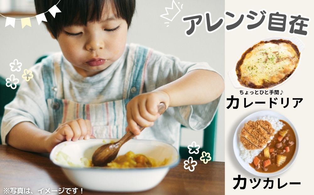 農家のたっぷり野菜カレー ３０個／山口農園 有機野菜 オ