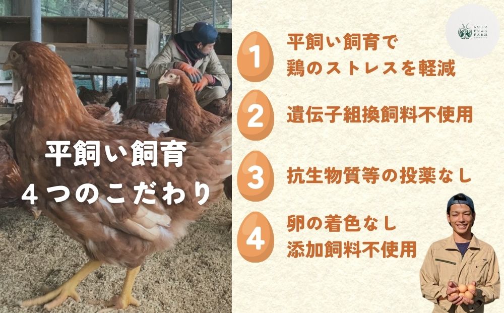 平飼い飛鳥の卵 40個／ 卵 たまご 玉子 生卵 鶏卵 生たまご 