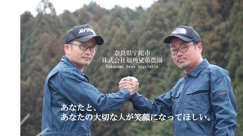 紫菊芋パウダー【約3カ月分】【150g×3袋】【450グラム】／菊