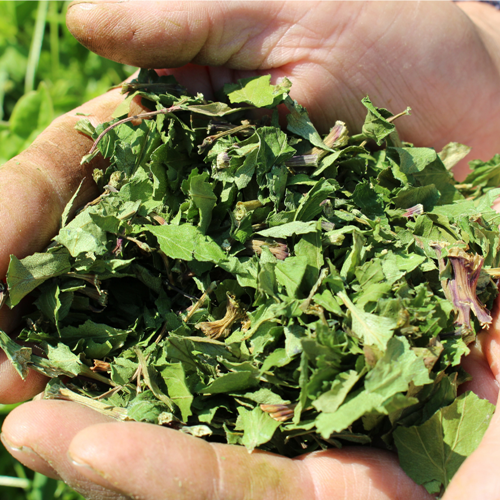 大和当帰葉 ヨモギ ブレンド 入浴用 ハーブ 16回分／松田商