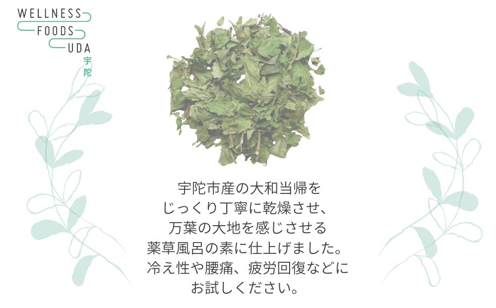 薬草のおふろ とうきかな 入浴剤 １箱(４包入×１個) /ウェ