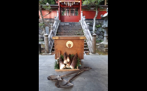 神饌タケノコ 500ｇ入り×6【2026年5月発送分】