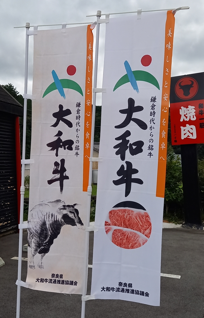 定期便 ３ヶ月 A5 大和 ブランド 和牛 リブ ロース スライス 