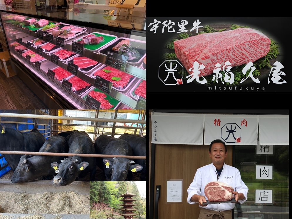 冷凍 宇陀里牛 手作り 生 ハンバーグ １２個 ( １個あたり 